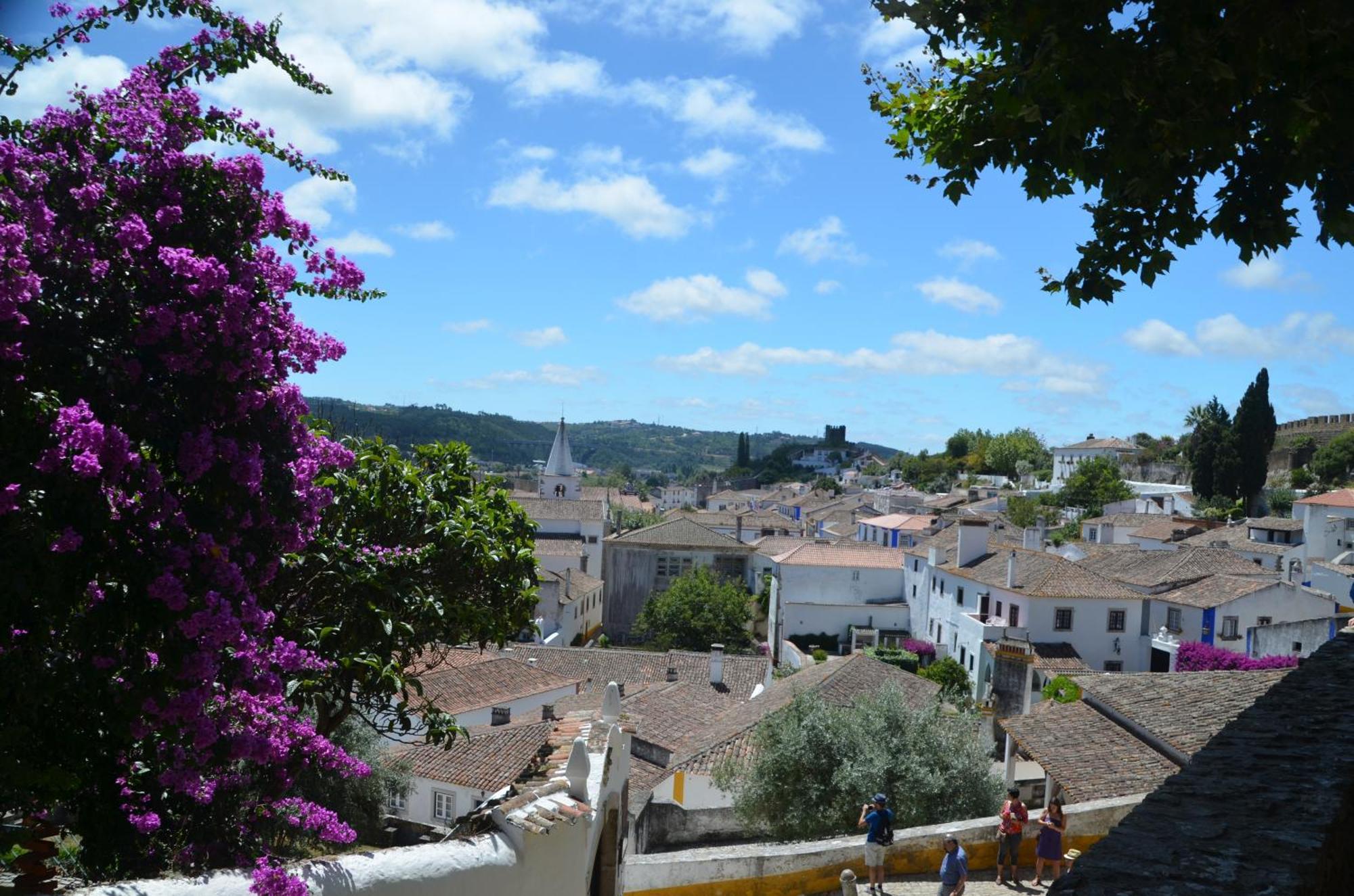 Cazenn Salir Do Porto - Holiday House Salir de Porto Bagian luar foto